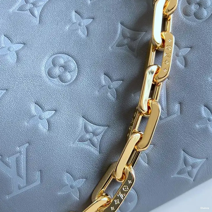 2210YA0091 LV Bag 0817